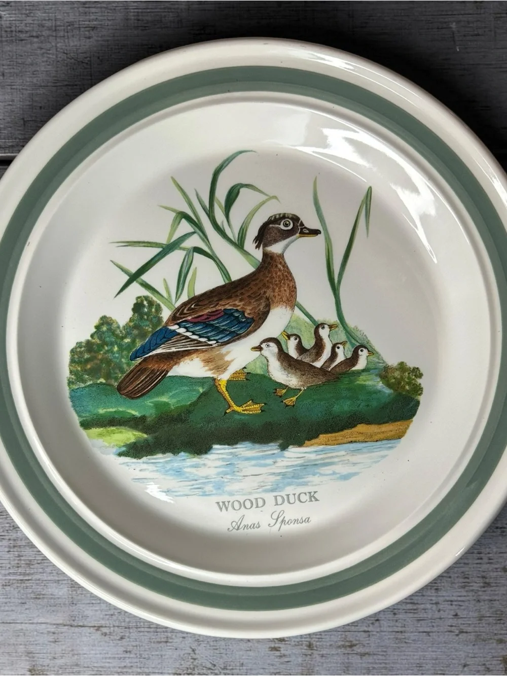 Vintage Portmeirion Birds of Britain 11” Plates Set of 6 Green Band 1978